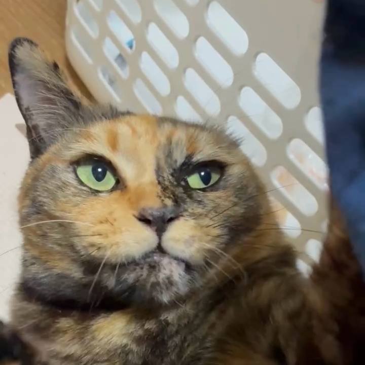 8166d6a7 66d6 4893 97b5 0e9835289496 1764794190544