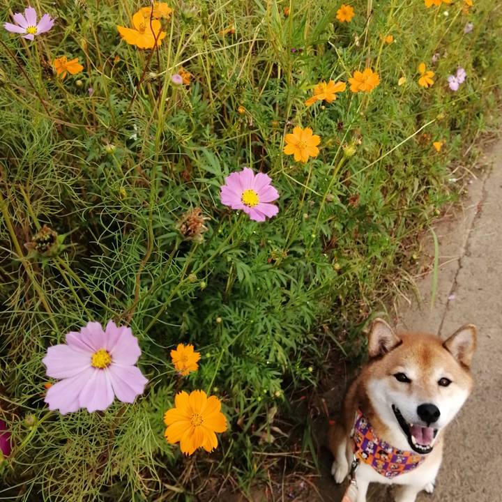 816748c7 8e98 4c2f 9da7 458e857b0964 1664793478297