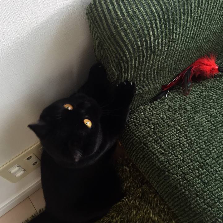 8167688d f326 4ecd b60e 56c4a01530c3 1526856351357