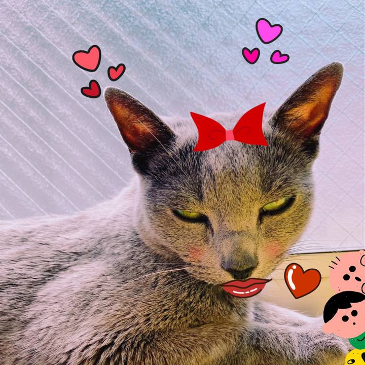 81676faf 813f 4c54 89a2 283fcc129e19 1589163150730