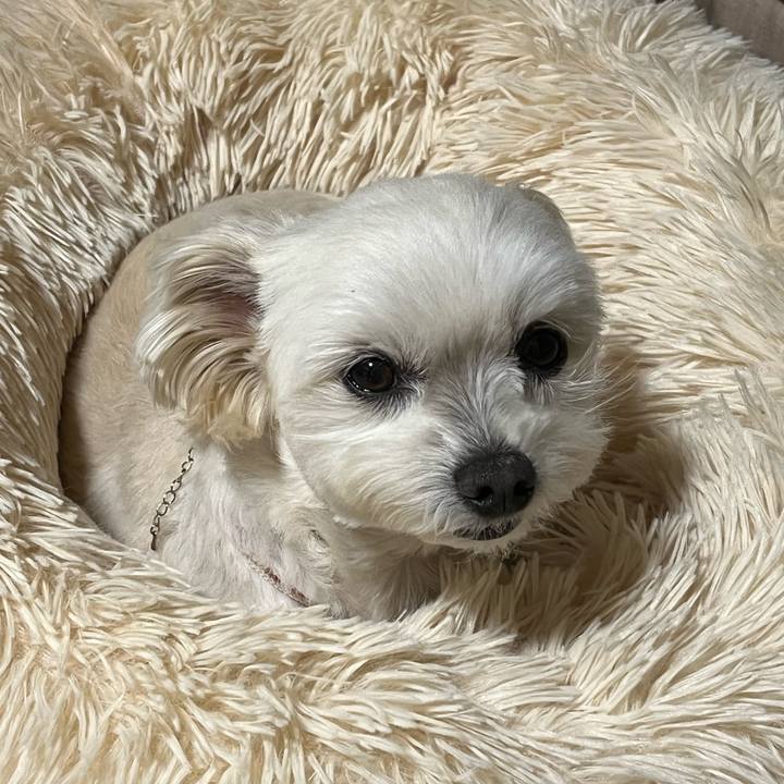 816788dc 1aeb 4f0b a8fa b6442b08274f 1653050628029