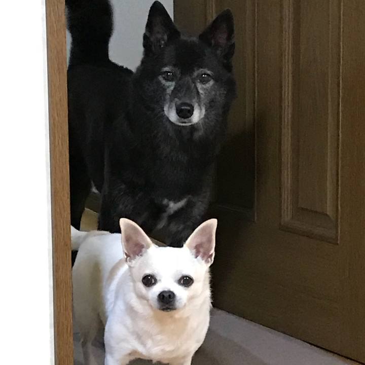 81678ff8 a6a9 4dfb b79c a981a4997f2f 1509098933773