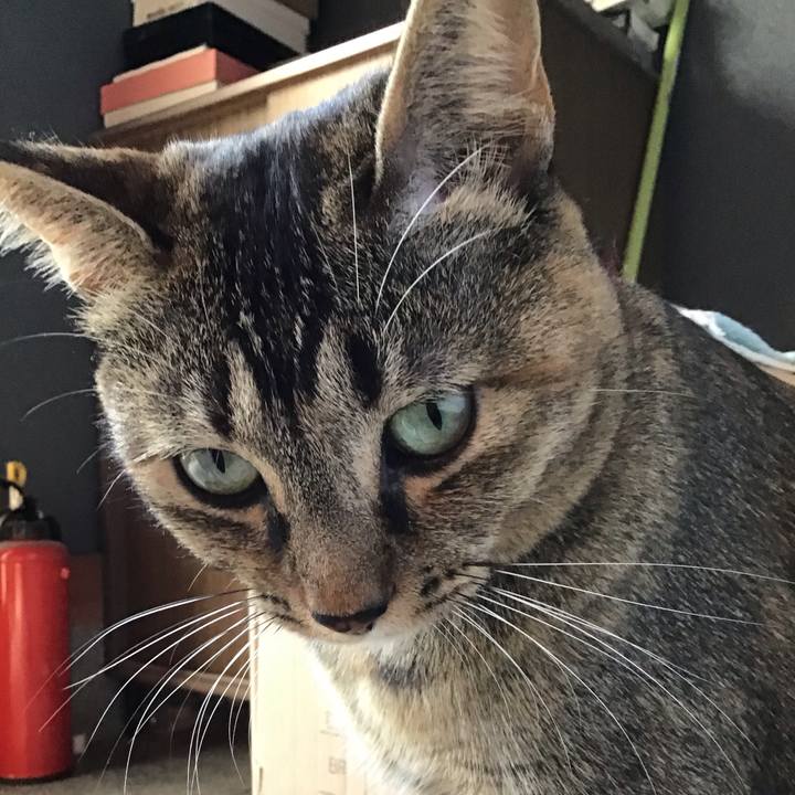 81679b2a 9eb3 4f43 be5c b4c7a72024c1 1605768115237