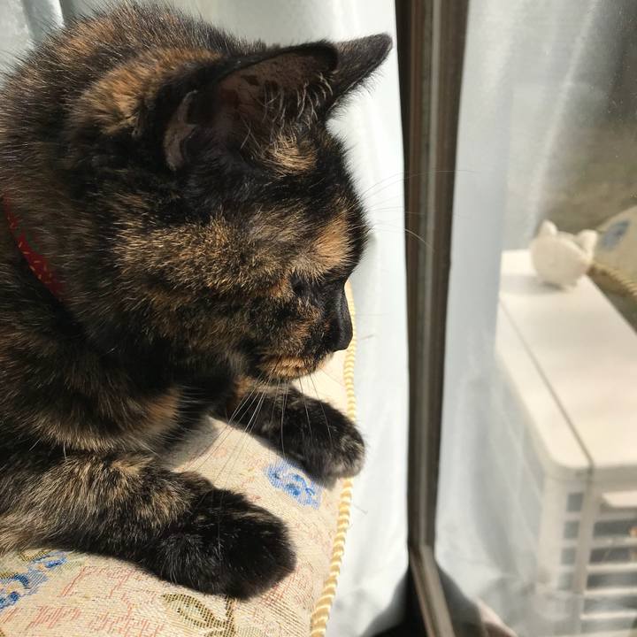 8167a09d 18eb 4835 a825 c1d1c2164cb9 1517885613707