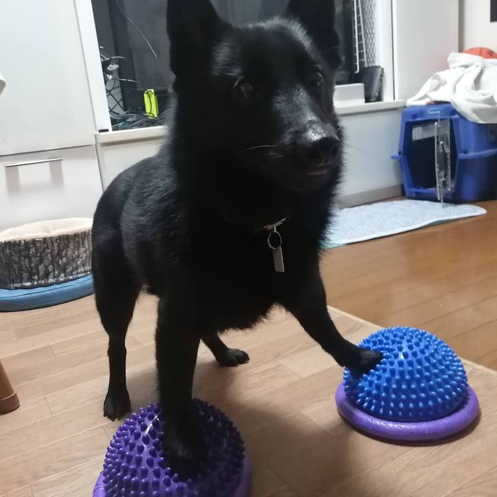 8167afae 6574 417b 99e8 ec3b49c7007e 1647431260647