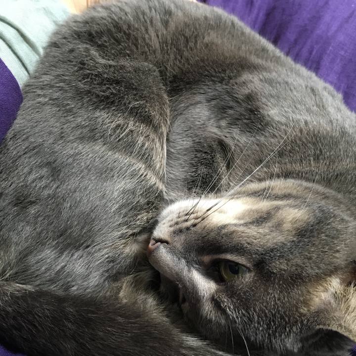 8167b266 e85f 4c83 ae67 9f28d5081c8f 1556715467744