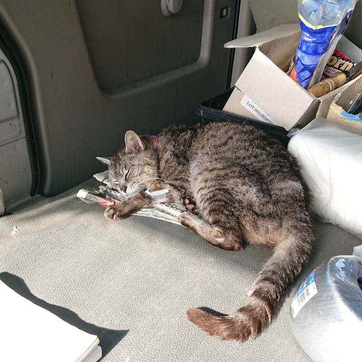 81681339 7b87 48ab b739 4d01d41bb9ba 1595544537102