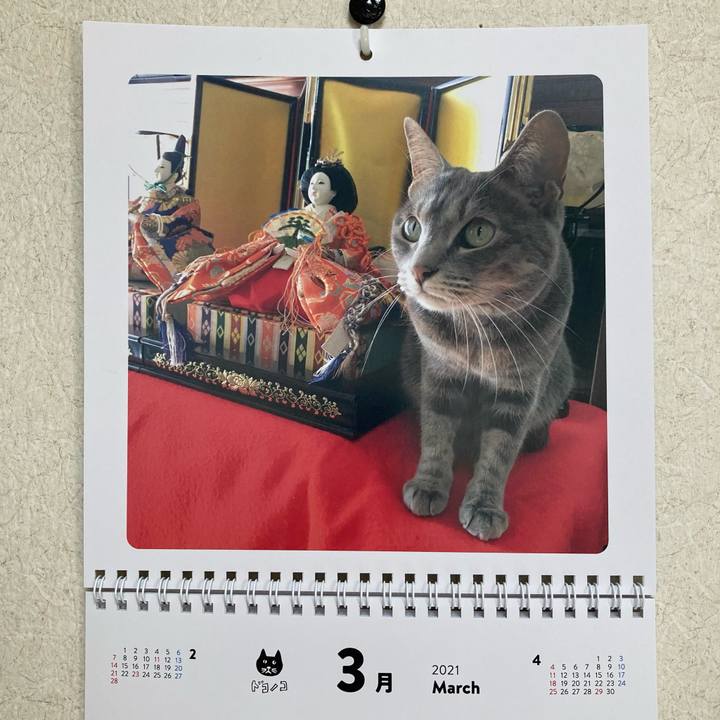 81681c60 7536 4dac 96c8 9d4078760b7a 1614590224330