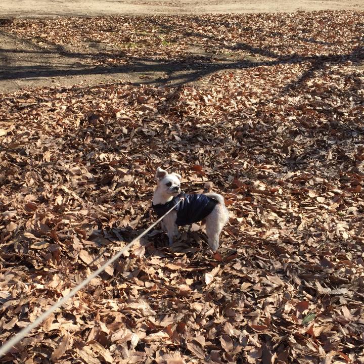 81682001 0677 4c8f 8168 0a4d3ac192f7 1547455761613