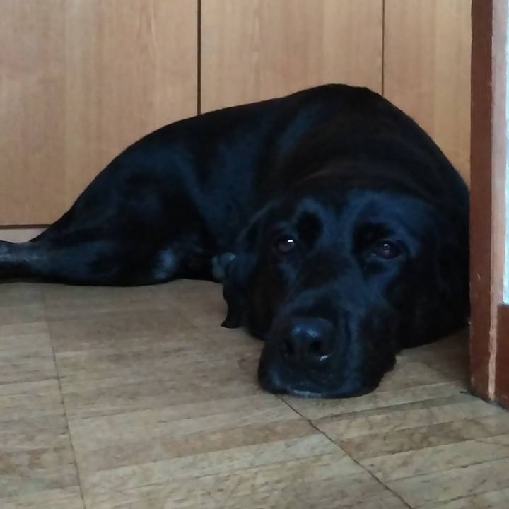 816838dd b6a4 4fbe 9cea 42f8a24bd83c 1566377142671