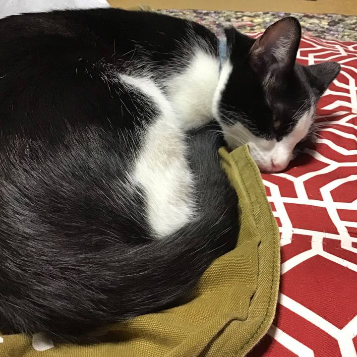 81689fc4 b955 4186 ac70 bdc8e2031aad 1635070992868