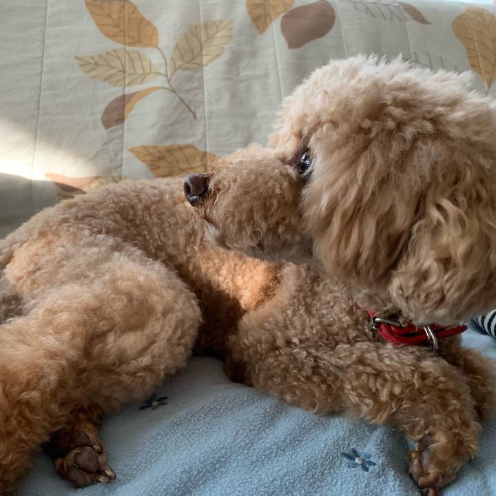 8168b2a9 abfc 4e97 9207 f99cad7d66e9 1560117160881