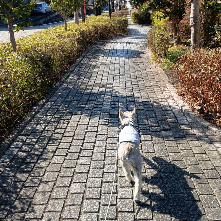 8168b68b 252b 4a4a 8883 96c4bd13b2d3 1772713278261