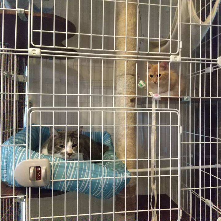 8168b898 b766 411f b13e 0d73f414bbae 1609194076207