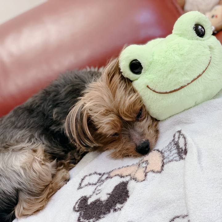 8168be41 78cb 497f b936 4b4d9aa3c6ea 1608699208654