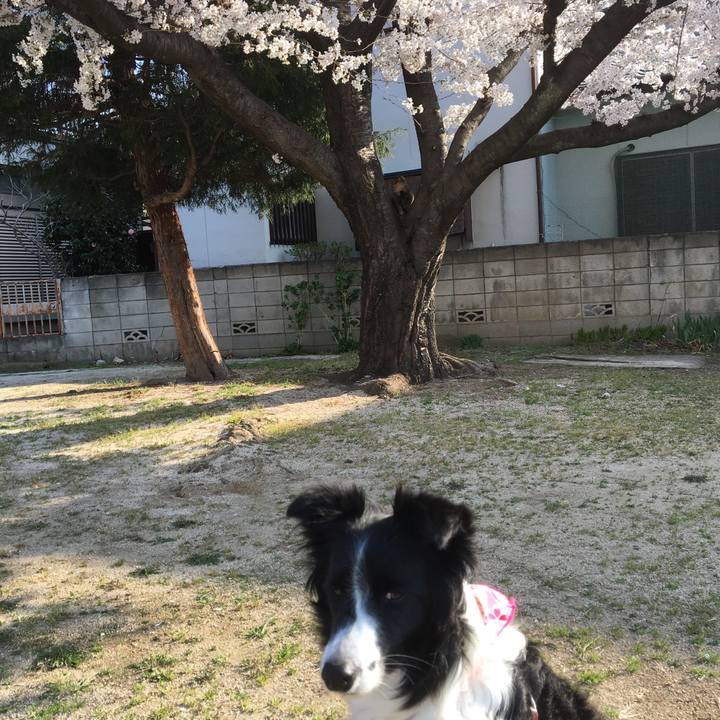 8168e508 8ffa 4dd2 9fd1 e55f01af0695 1522291638207