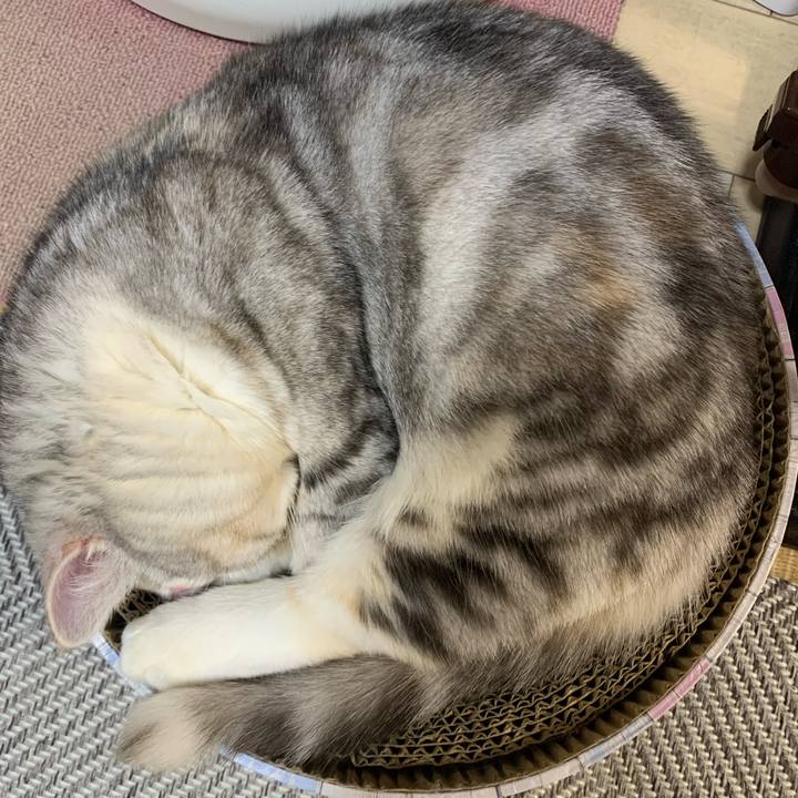 816908fb c901 45d2 9f4b 111338d15431 1705924338620