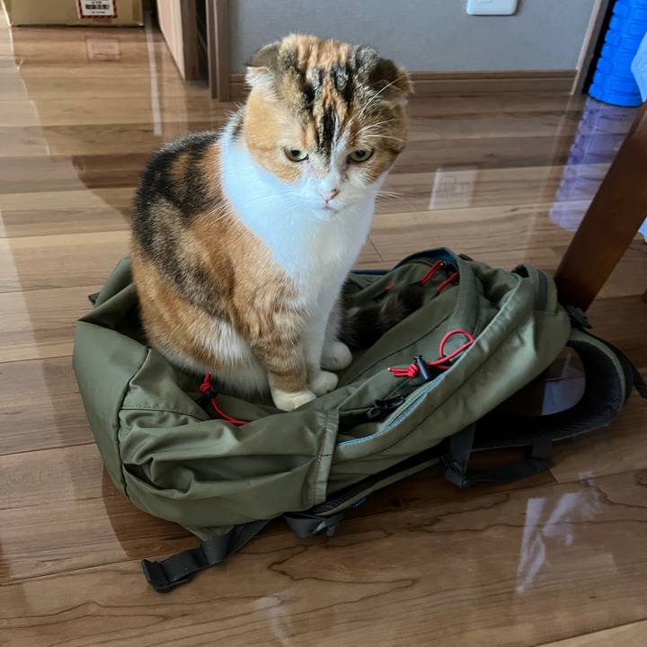 816917ee a038 4bdd ae62 639ca95af145 1657421068606