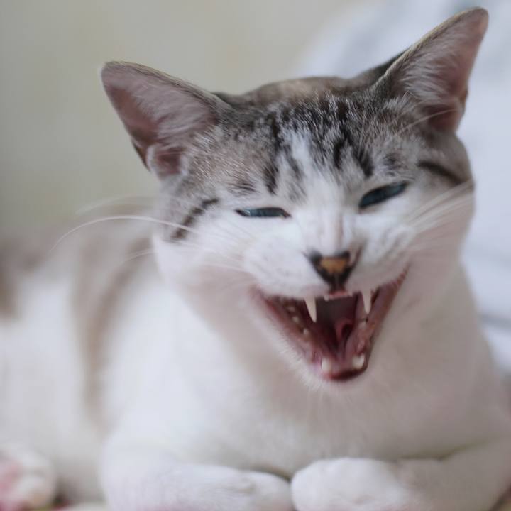 81699ab6 906f 4c7e a790 0587fcdb0161 1639914404142