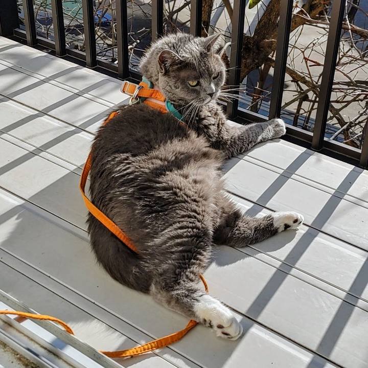 8169a3e6 5678 4302 bba7 813ad77f689a 1733620186355