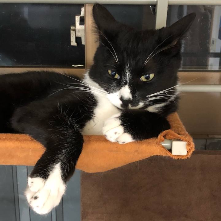 816a1211 adba 4bfc 8a27 44cc365f08a5 1528861349446