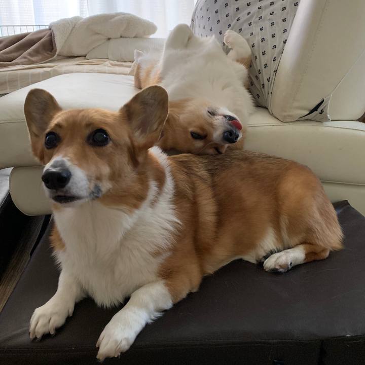 816a8433 4985 4174 9080 983dcbda0e8a 1578715210103