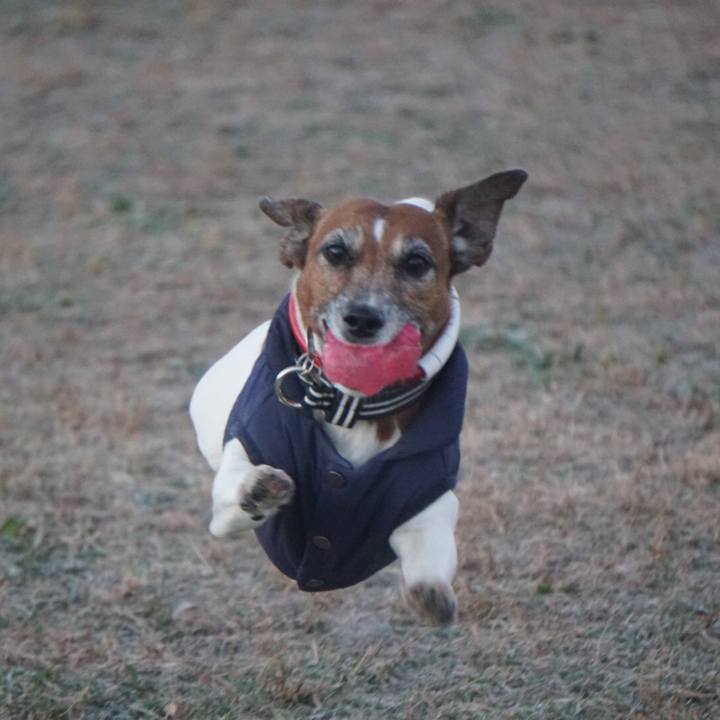 816a9b40 6f61 4db8 893f 7c0b32b06442 1608249322889