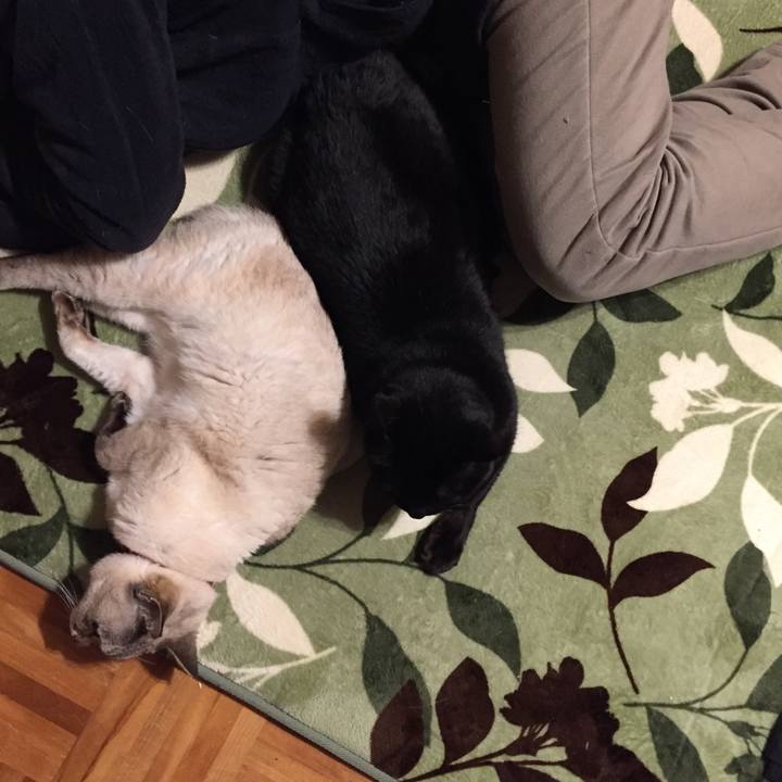 816ab1be 9eef 4452 98f8 712c5674c4d3 1584707443970