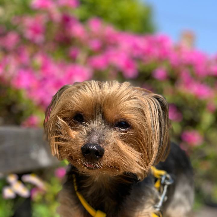 816b28c5 aec3 4425 8264 db31b0725141 1588211162061