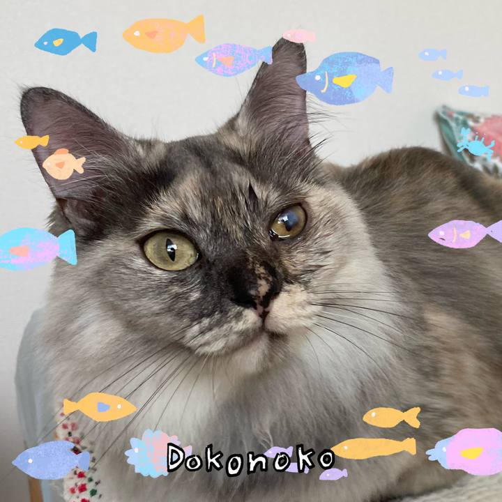 816b3050 d3d1 4d7b b5ab 2d0cc7b4c95a 1755158083263