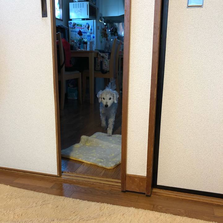 816c0350 0728 462b a587 72cb2316fac6 1641553247700