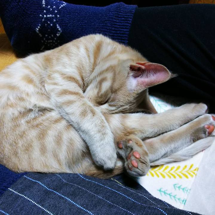 816c17aa 2a67 49c3 a897 4eef52b7347c 1544100078728