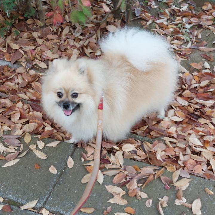 816c4512 4458 4872 8cd2 f0c1156310fc 1668310763902