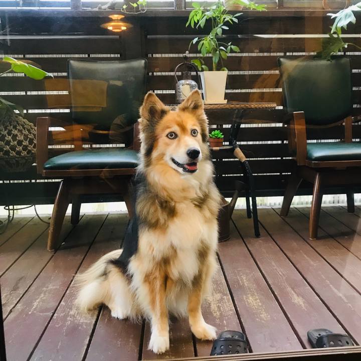 816c6a23 1686 4ce4 bc01 753284be7335 1593075194605