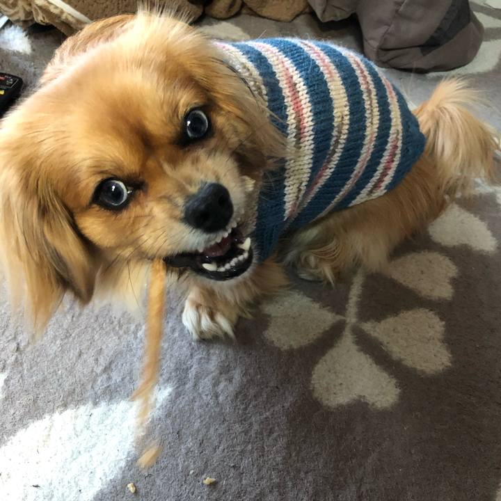 816c82aa c92e 47a9 bcfd 683edafbe23e 1550441064246