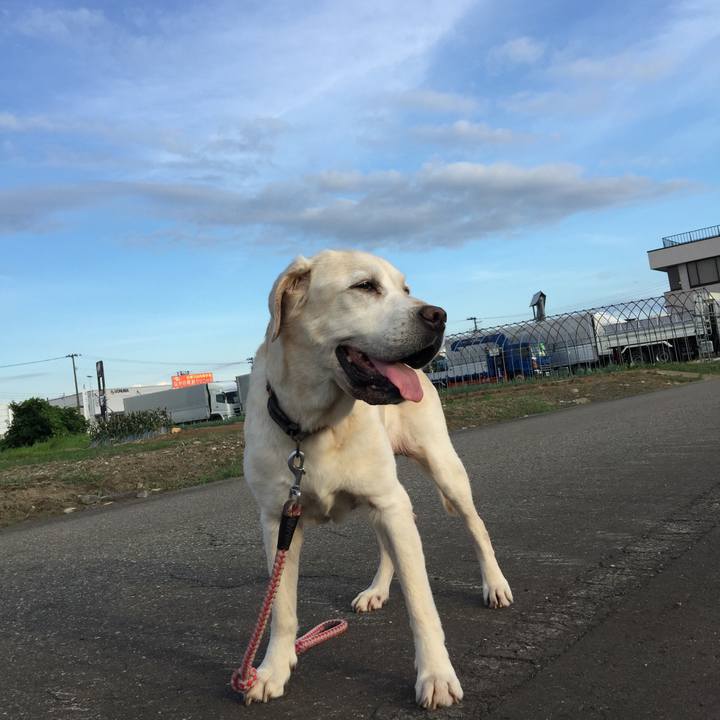 816cc2f3 26f4 43f4 867a 91de6f1db938 1549448444502