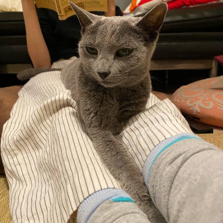 816cc6c6 f141 4e22 91ee 716307de37c6 1593590671831