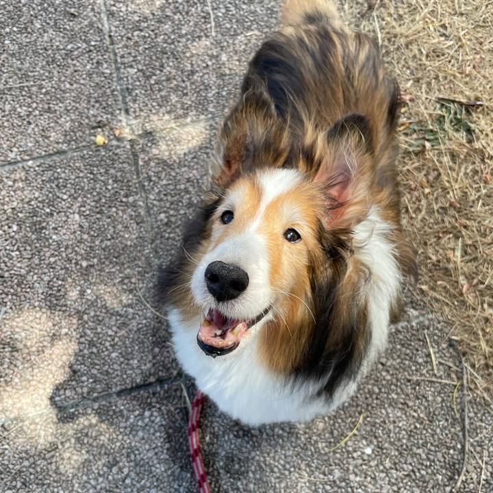 816d2302 dd0d 4ef5 a558 df31c9592b2c 1627902185628