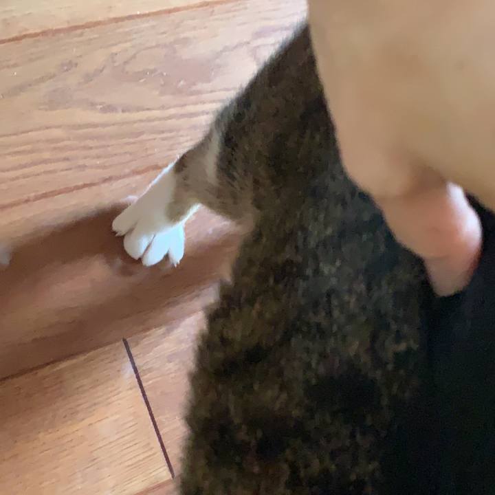 816d3a84 4639 4a5b 85be c2ca0766d6eb 1635917992321