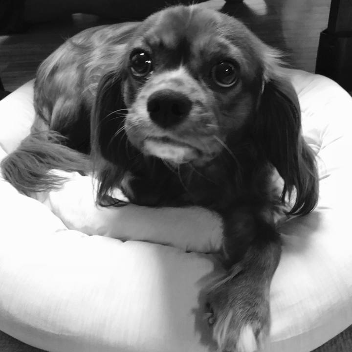 816d5112 97a4 46ee 976a 94fd4263efa6 1535112018865