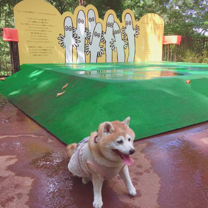 816d5a7d 4f95 4621 a9e5 20761fa499e3 1598495041124