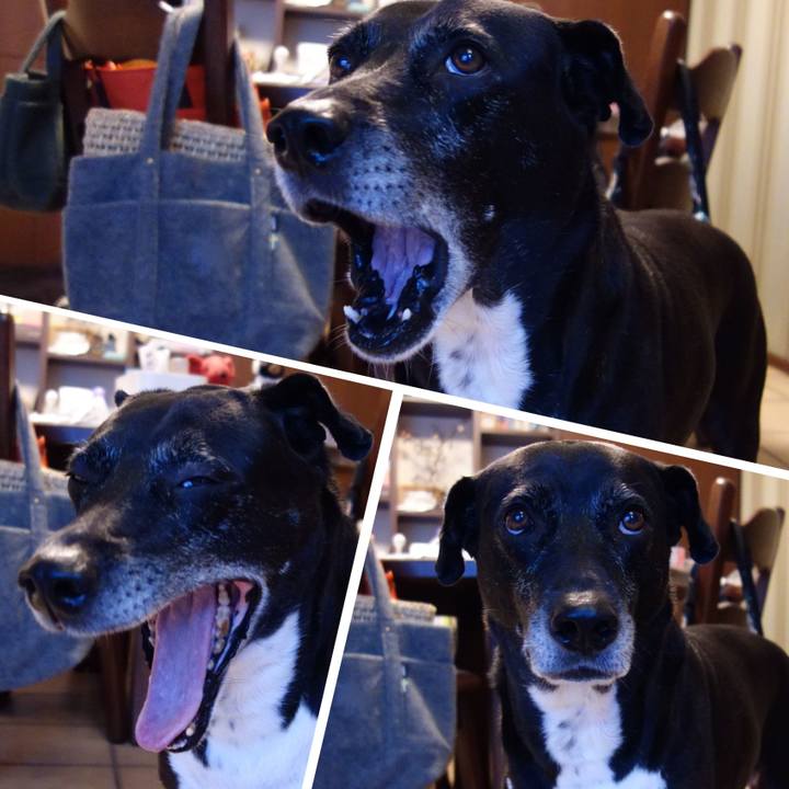 816d73b9 f215 4ff0 96ed 85999bcbde85 1732841796918