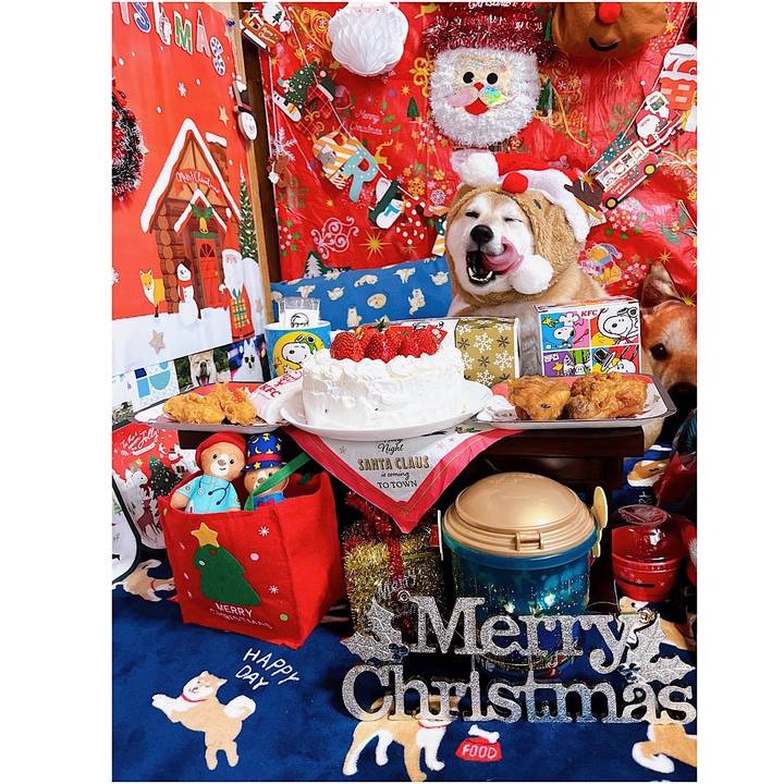 816d7a73 bb56 4b25 bbe0 5995e859751c 1671015249801