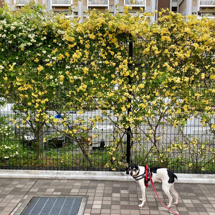 816d7f62 2e7e 40eb 8625 2487f1abf9ac 1587512113341