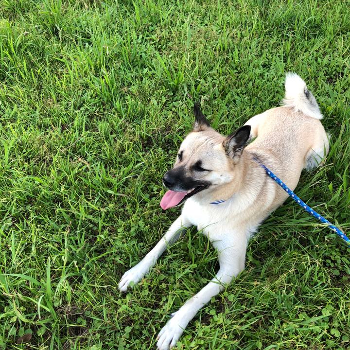 816d9cb2 c43d 46af 98f5 b304ed3bd0ce 1538902361377