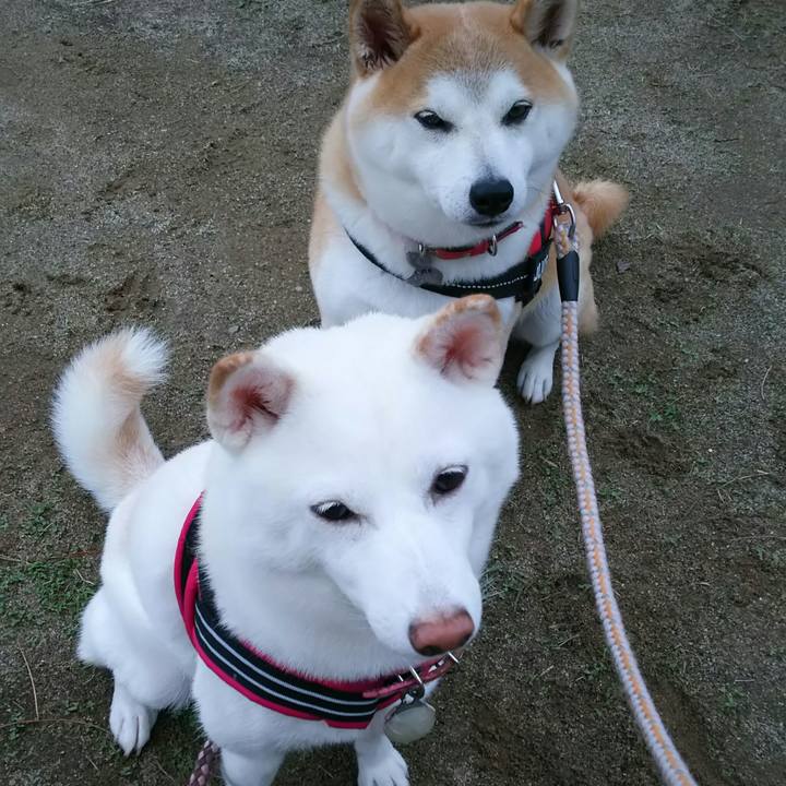 816daae0 973f 496c 93b7 0d0fe54cf86c 1536396352887