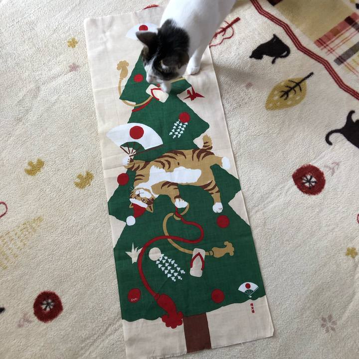 816dd2b8 c6a7 4b0b 9cde 173ae395e442 1702344511935