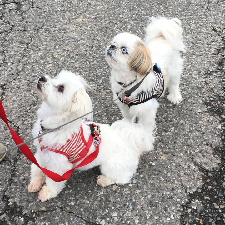 816ddb5a ae23 46b1 8f50 0da43f15b47c 1588742139412