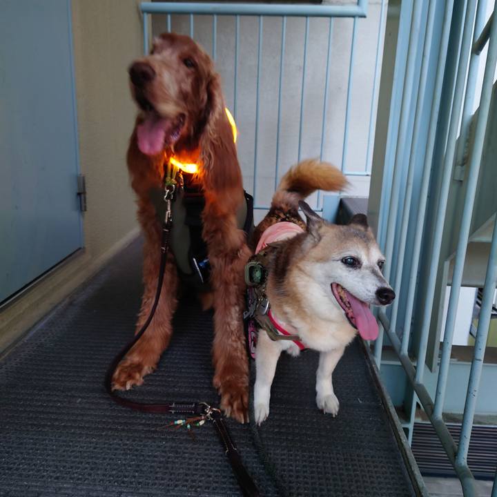 816e59cd ea38 46e6 bb01 c578795e38f8 1723734294918