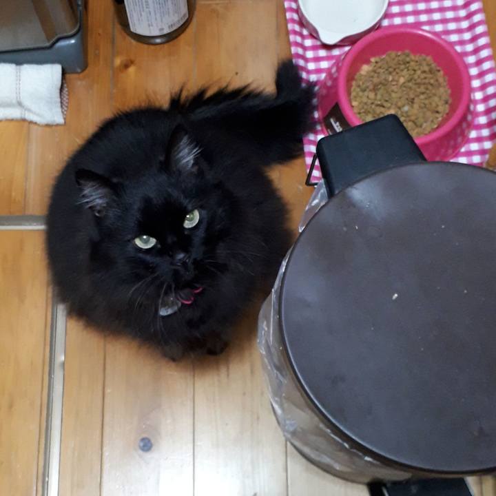 816e6273 8eaa 445a 96d9 80ae56ba57ba 1521923791287